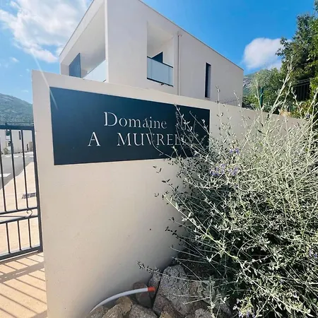 Moderne 3p A Calvi, Piscine, Parking, Proche Plage - Fr-1-63-366